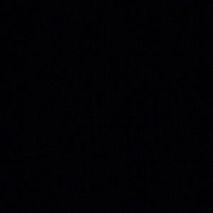 Meet your Posher, Molly